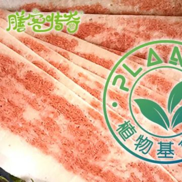 《植物基食品通則》團(tuán)體標(biāo)準(zhǔn)發(fā)布！寧波素蓮食品為主要起草單位植物肉_素肉_人造肉縮略圖