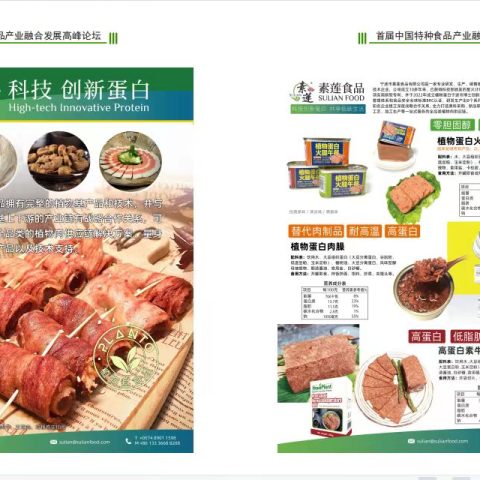 素蓮食品應(yīng)邀參加「首屆中國(guó)特種食品產(chǎn)業(yè)融合發(fā)展高峰論壇」植物肉_素肉_人造肉插圖5